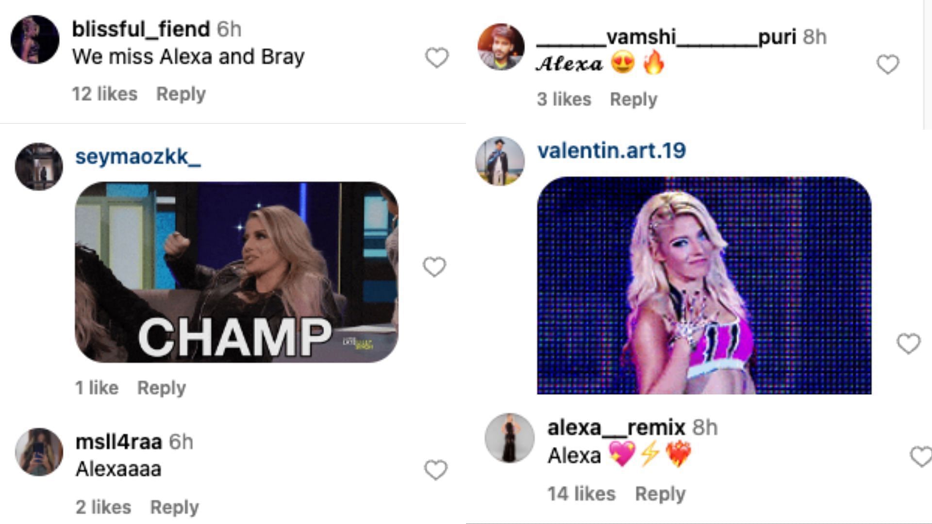 Fans react to Bliss' update on social media.